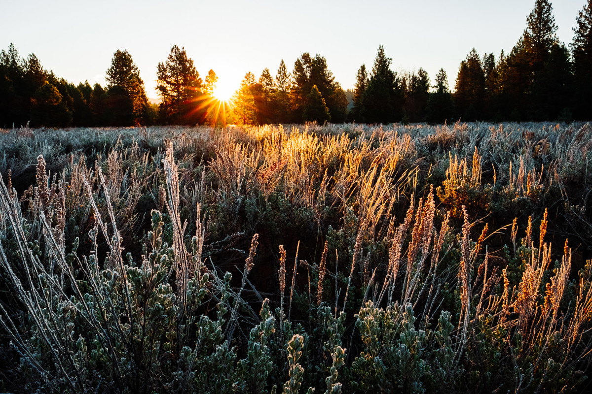 Photo Gallery Mountain Biking In McCall Idaho Travel On BikeMag