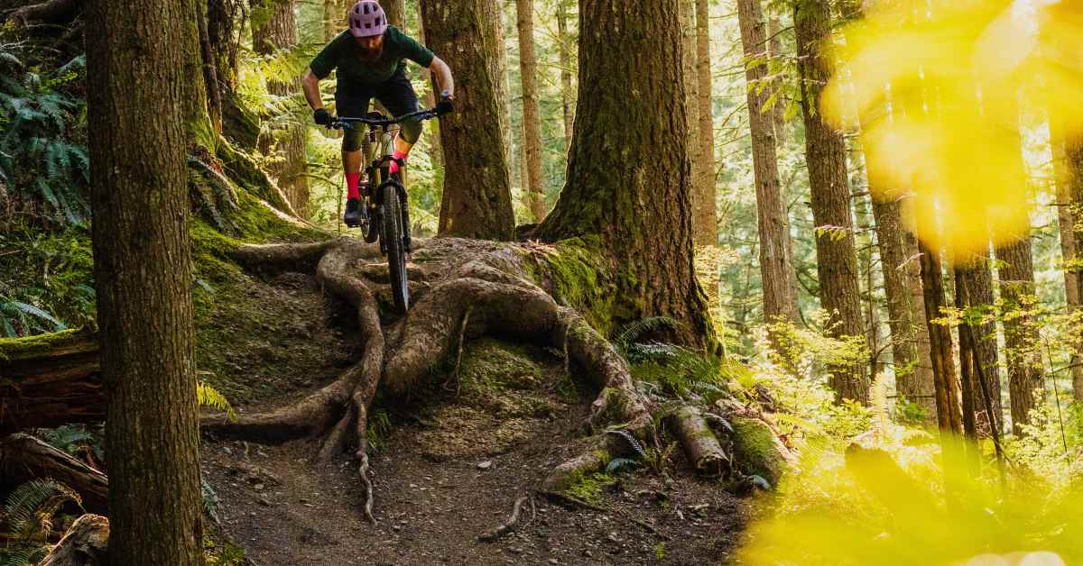 Tested: Norco Sight Gen 5 - BikeMag