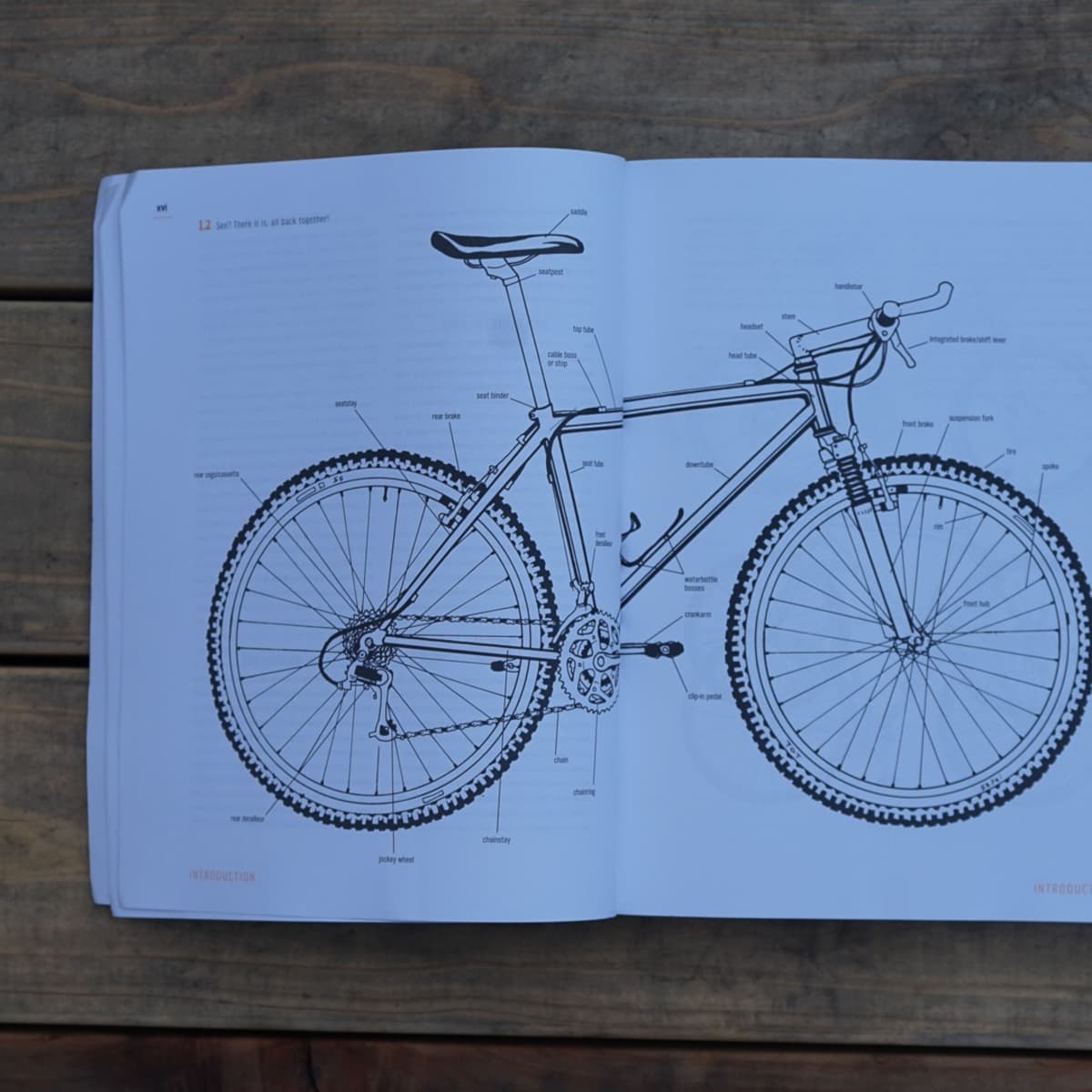 Weinig Pidgin smaak Review: Zinn and the Art of Mountain Bike Maintenance - 6th edition -  BikeMag