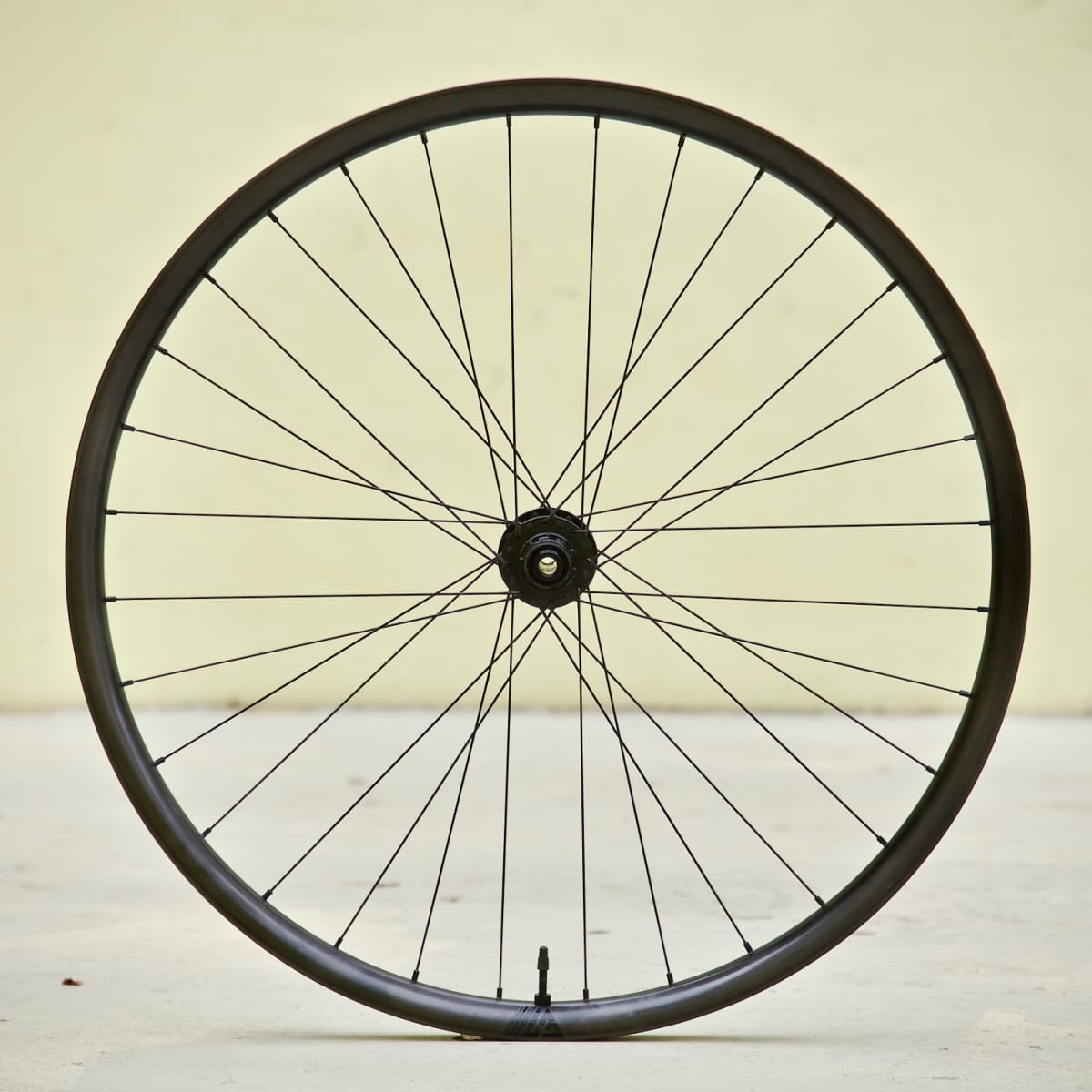 Light bicycle deals wheels review