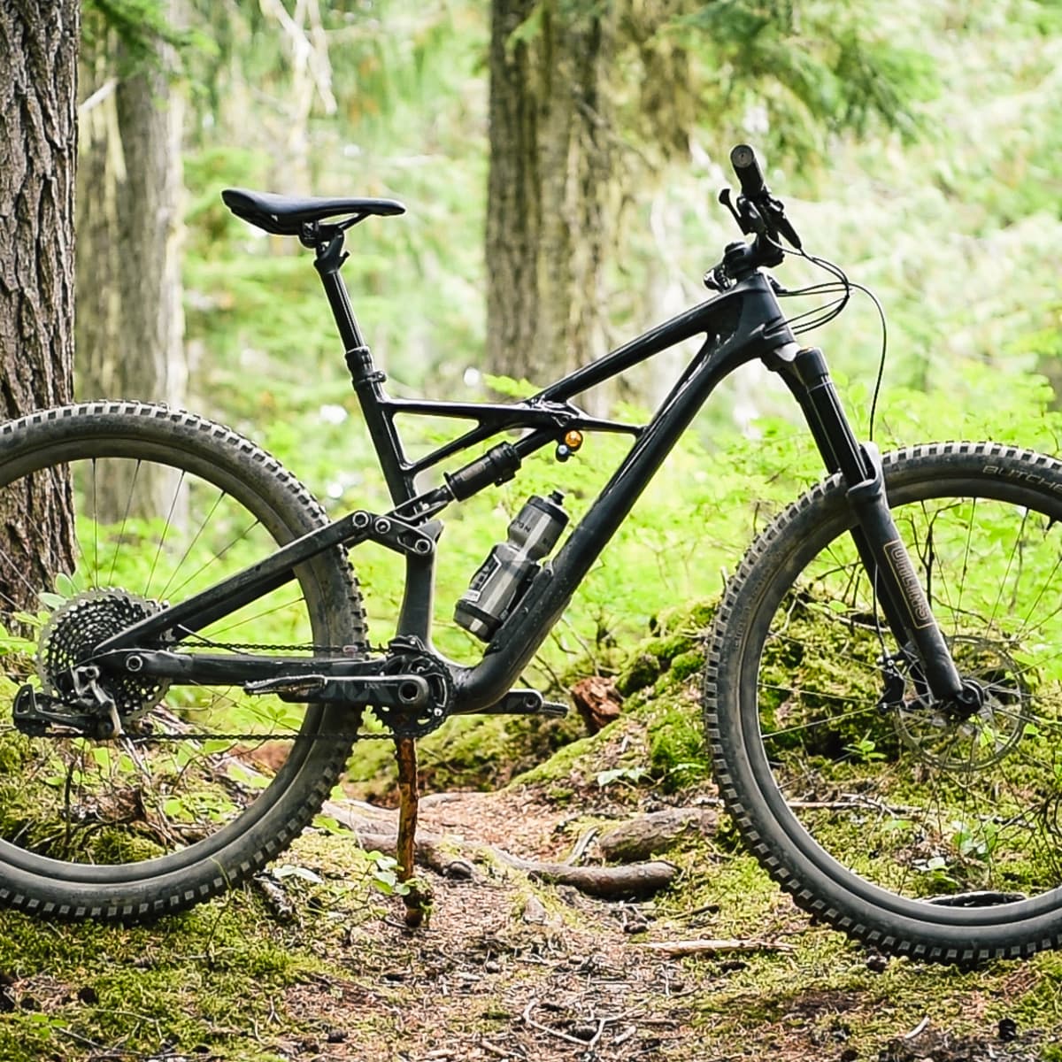 Specialized enduro cheap vs trek slash