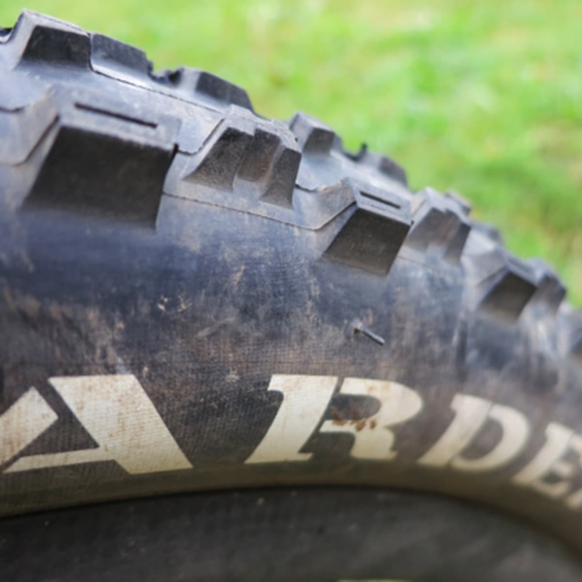 Maxxis ardent sales 2.4 29