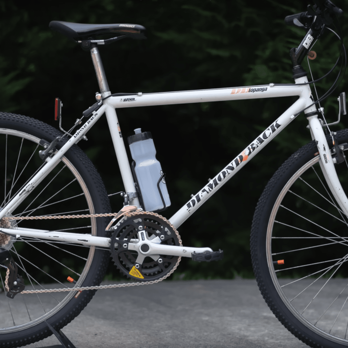 Avenir diamondback bicycle on sale