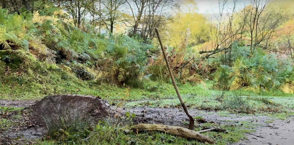 This U.K. Mountain Bike Video Offers Satisfying Autumn ASMR