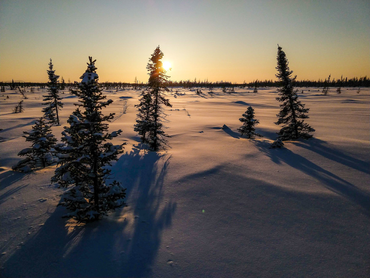 Fully Loaded: Racing Alaska’s Iditarod Trail Invitational - BikeMag