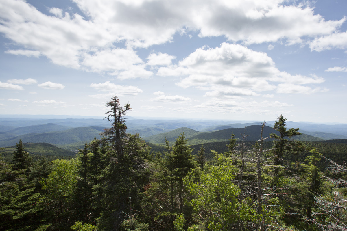 Ride of the Beast – Killington Bike Park | BIKE Magazine - BikeMag