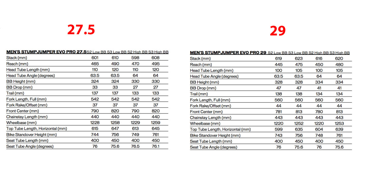 Specialized rumor size discount chart