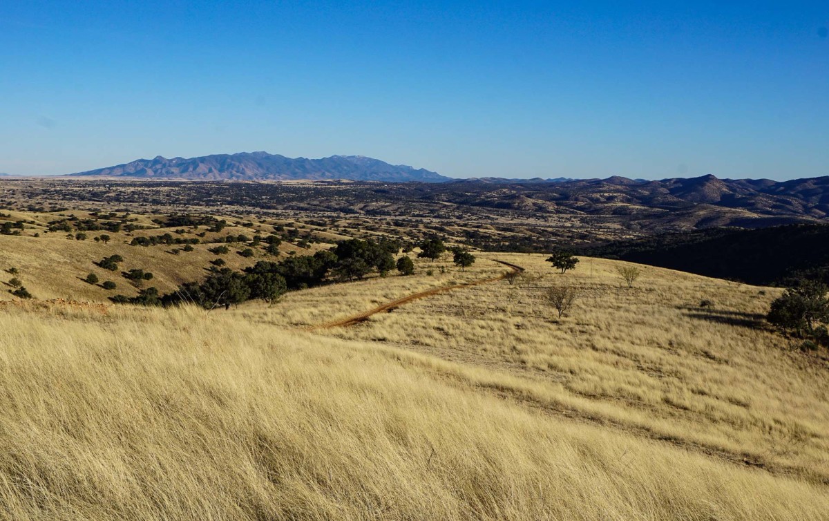 Scottish Riders Triumphant at the Arizona Trail 300 | BIKE Magazine ...