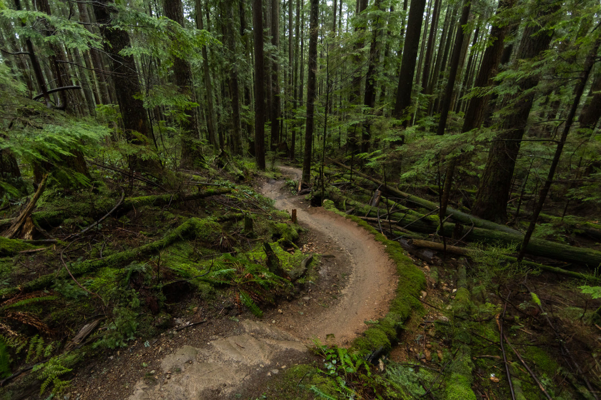 Photos: Mountain Biking On Perfect Trails Through British Columbia's ...