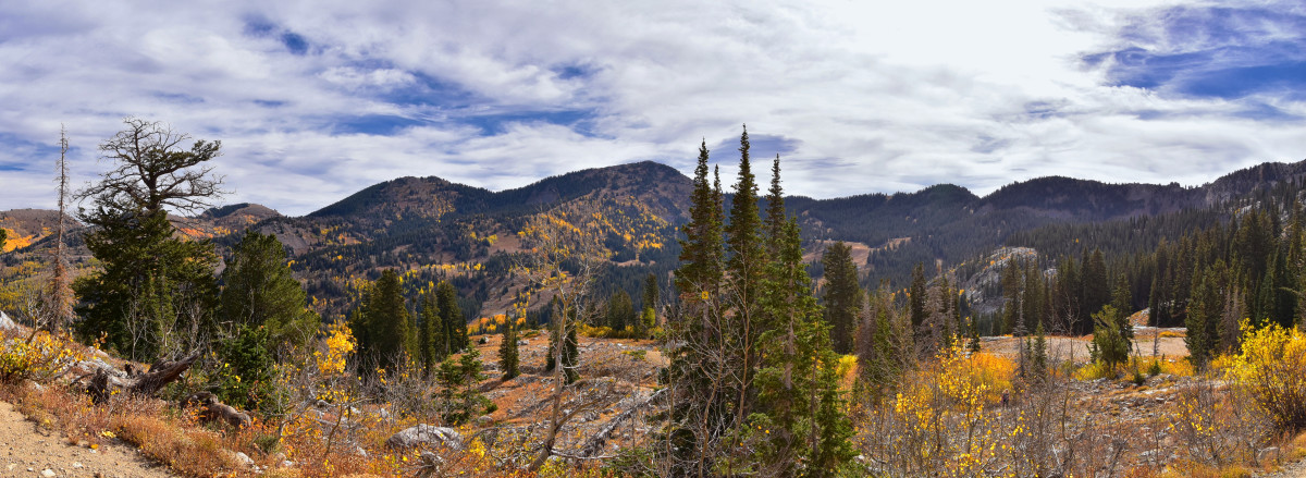 Continent's Largest Ski Resort Opens New Mountain Biking Trail - BikeMag