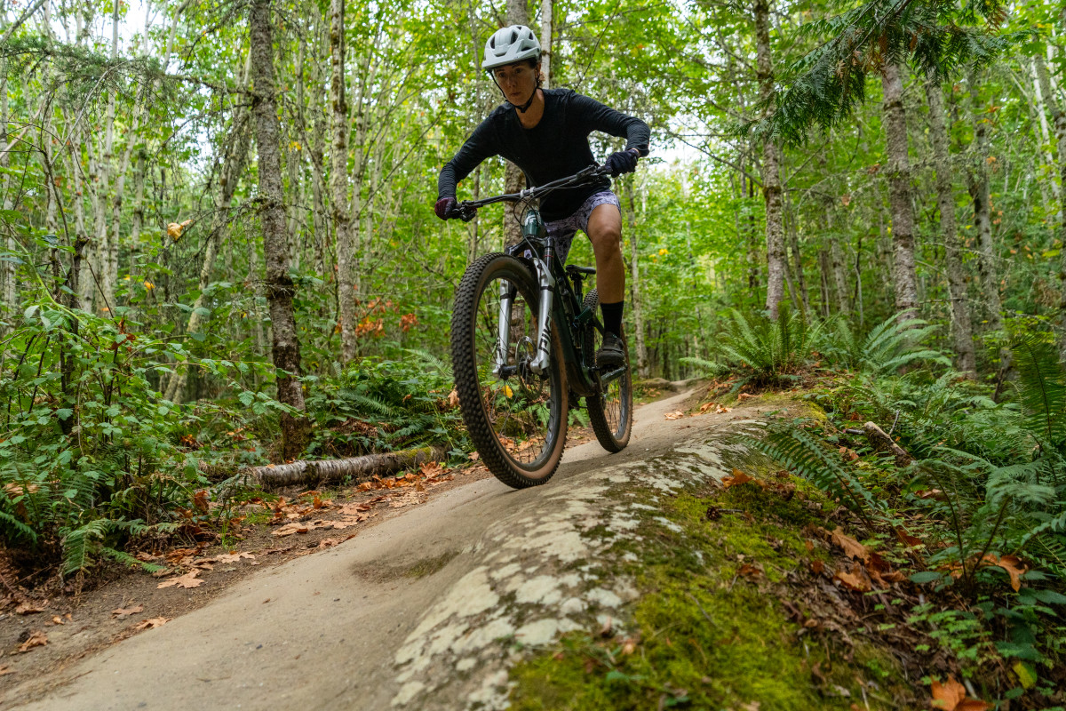 Wild rye clearance bike shorts